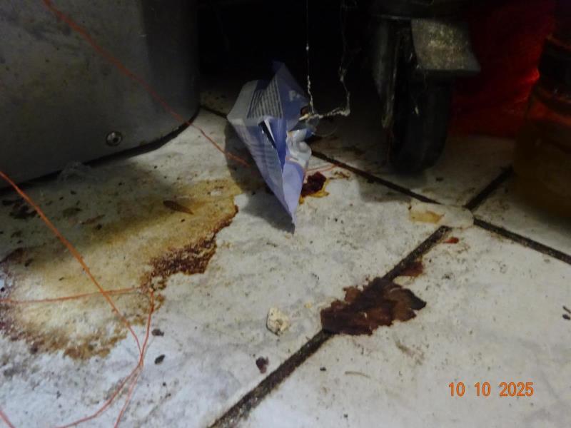 Ilustrační fotografie č. 31