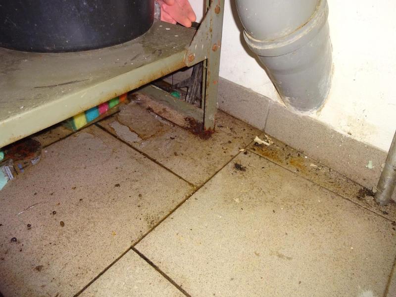 Ilustrační fotografie č. 3