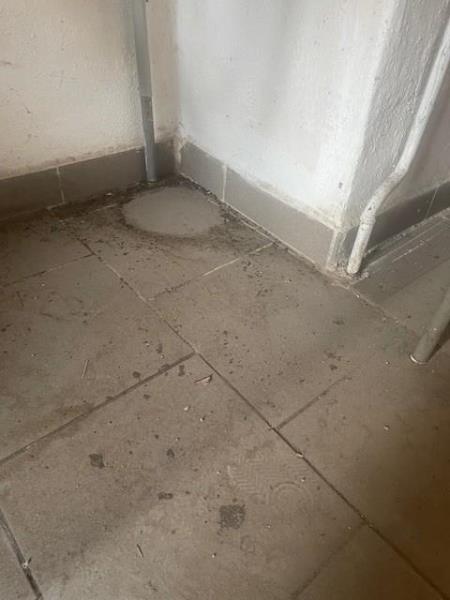 Ilustrační fotografie č. 15