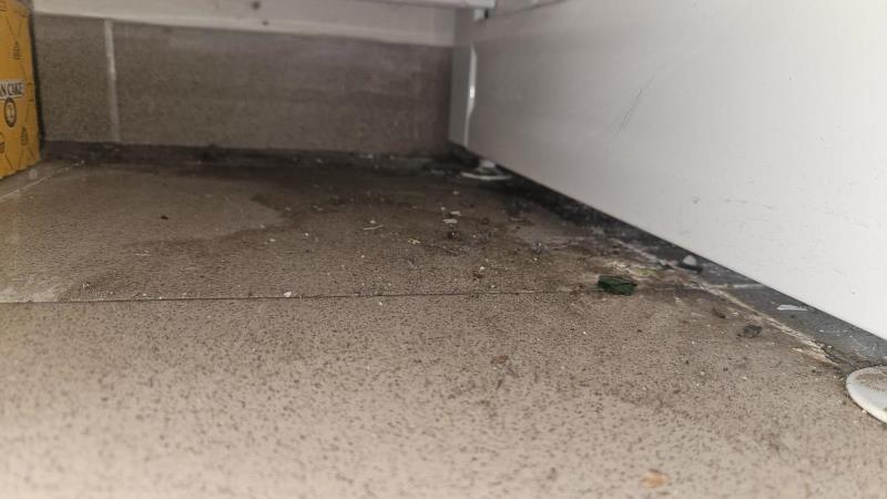 Ilustrační fotografie č. 15