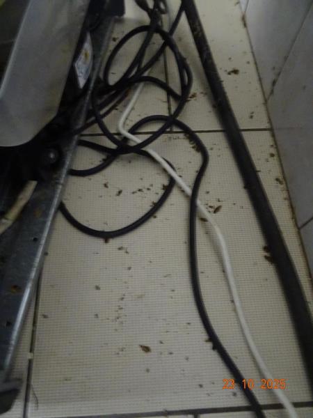 Ilustrační fotografie č. 13