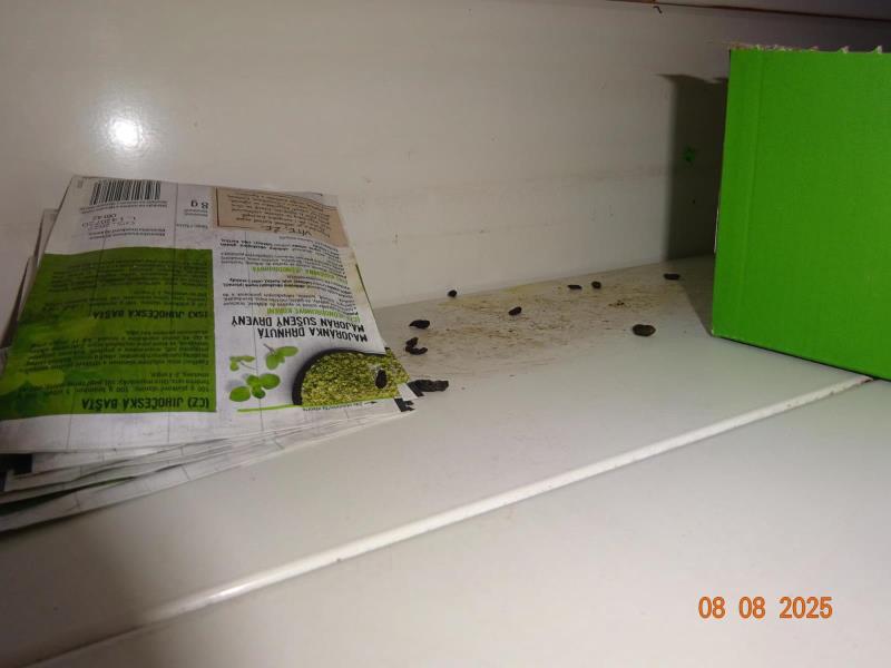 Ilustrační fotografie č. 27