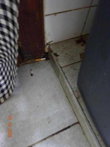 Ilustrační fotografie č. 3