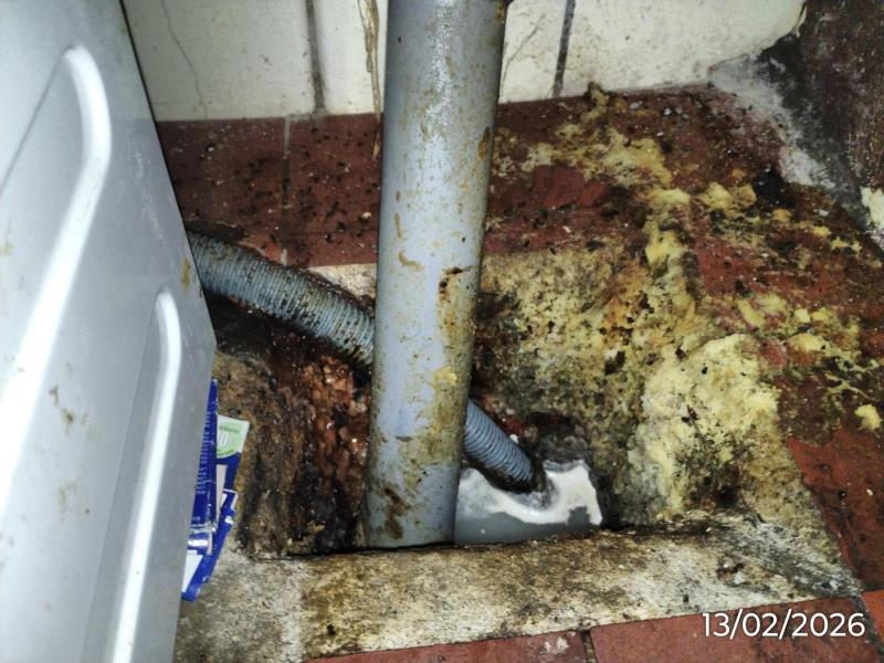 Ilustrační fotografie č. 10