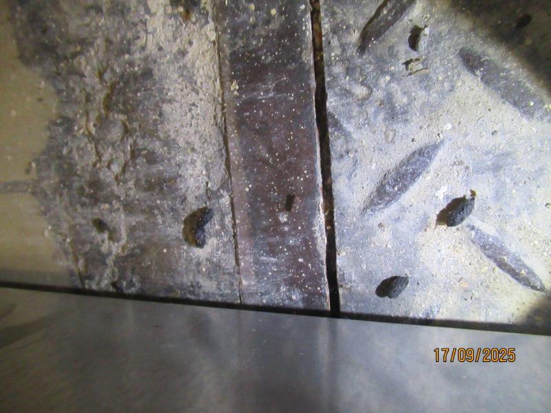 Illustrative photo no. 11