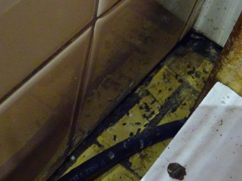 Ilustrační fotografie č. 6