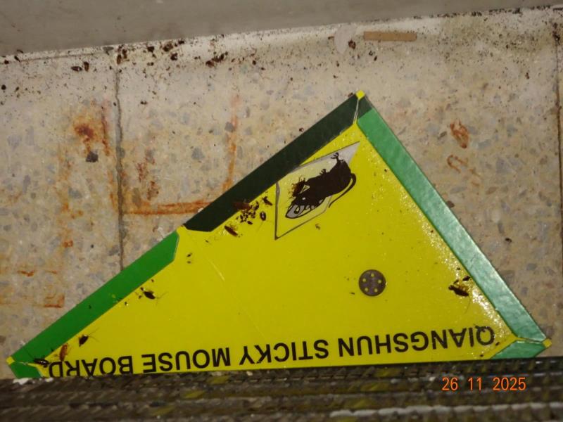 Ilustrační fotografie č. 6