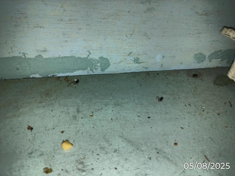 Ilustrační fotografie č. 6