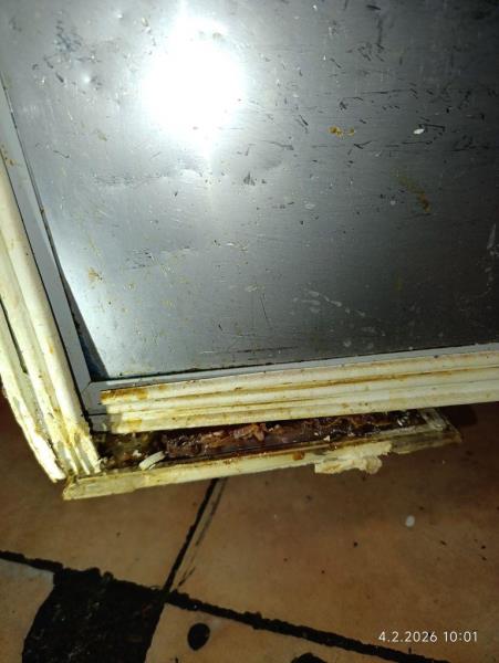 Ilustrační fotografie č. 10