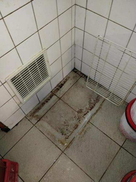 Ilustrační fotografie č. 14