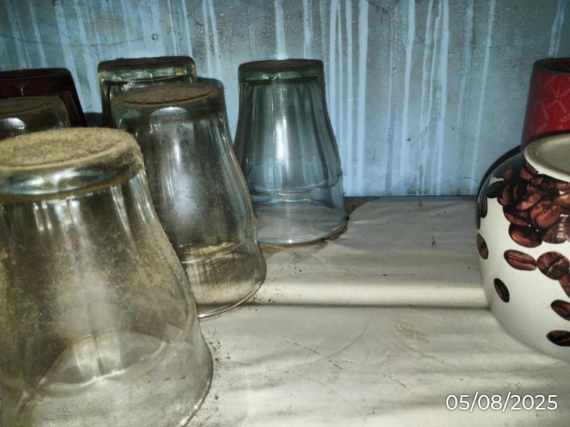 Ilustrační fotografie č. 4