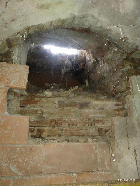 Ilustrační fotografie č. 22