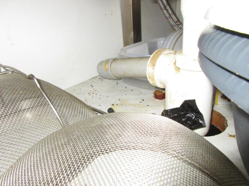 Ilustrační fotografie č. 8