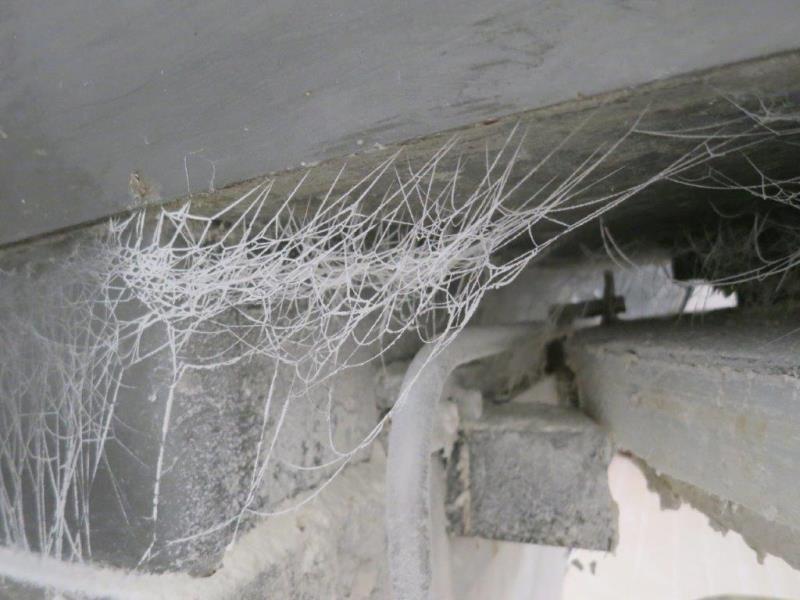 Illustrative photo no. 15