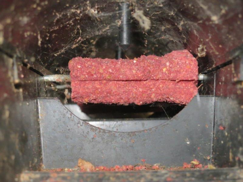 Ilustrační fotografie č. 13