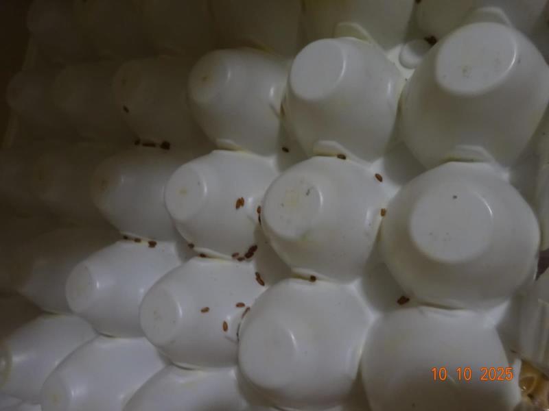 Ilustrační fotografie č. 18