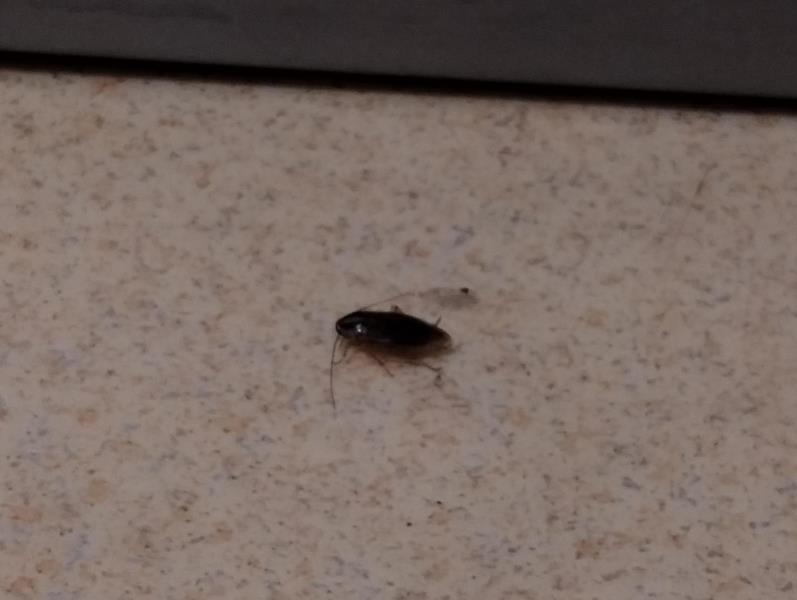 Illustrative photo no. 2