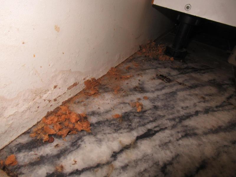 Ilustrační fotografie č. 17