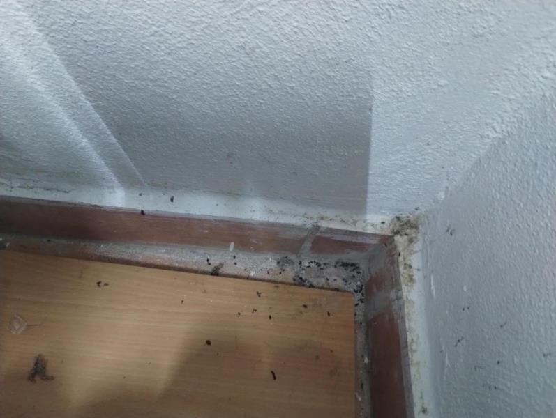 Ilustrační fotografie č. 5