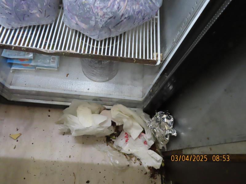 Ilustrační fotografie č. 7