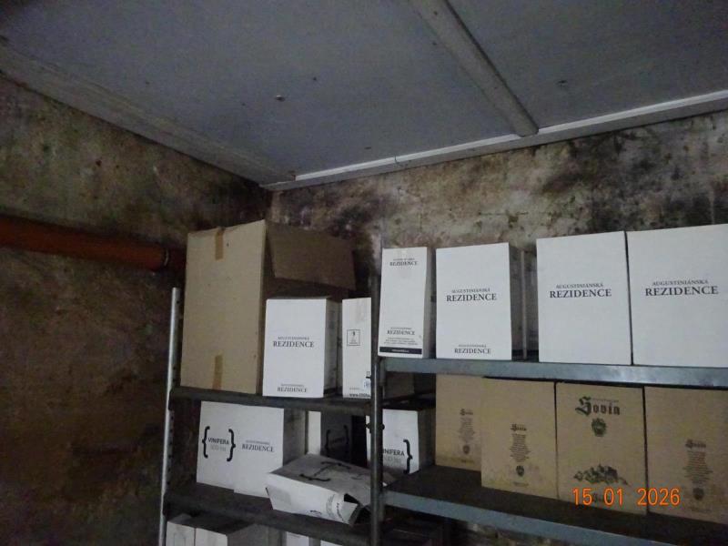 Ilustrační fotografie č. 3