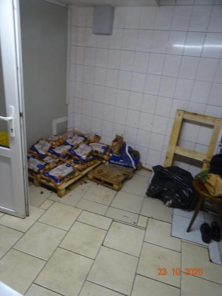 Ilustrační fotografie č. 17