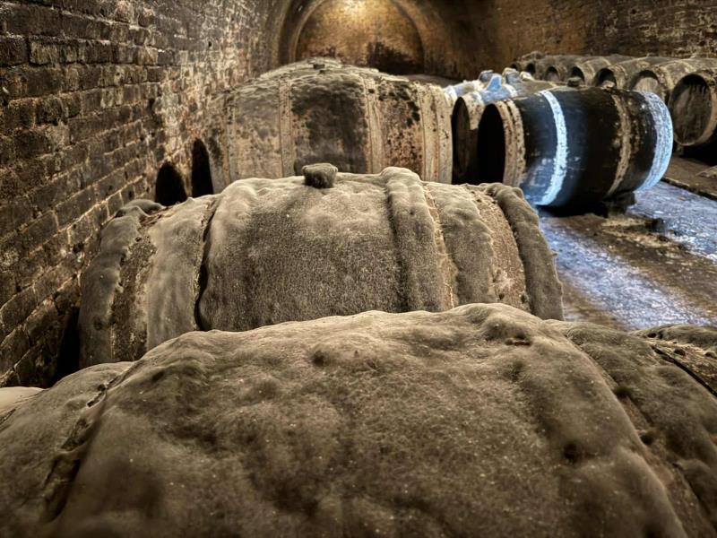 Ilustrační fotografie č. 4