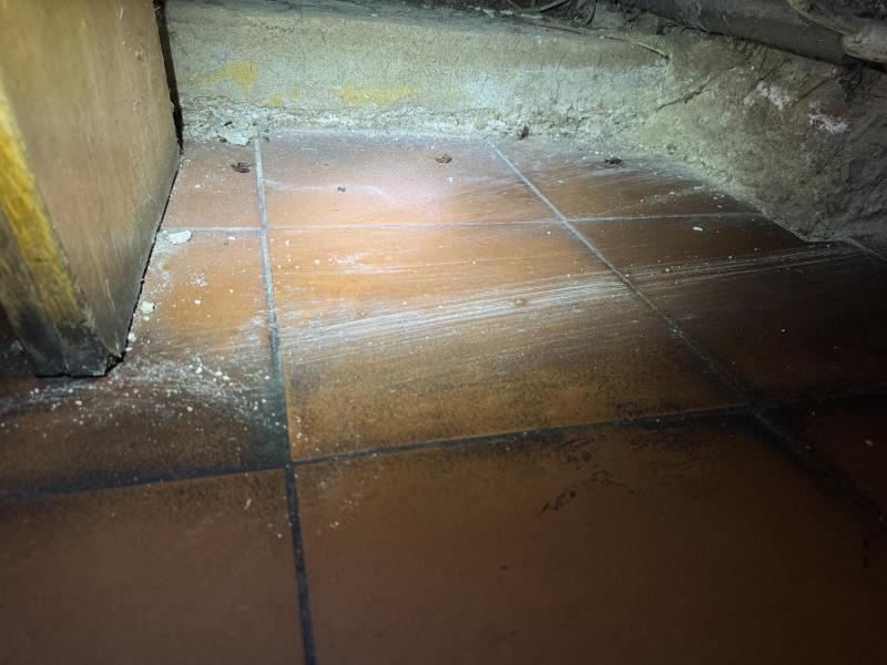 Ilustrační fotografie č. 12