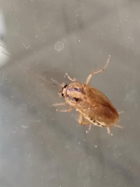 Illustrative photo no. 15