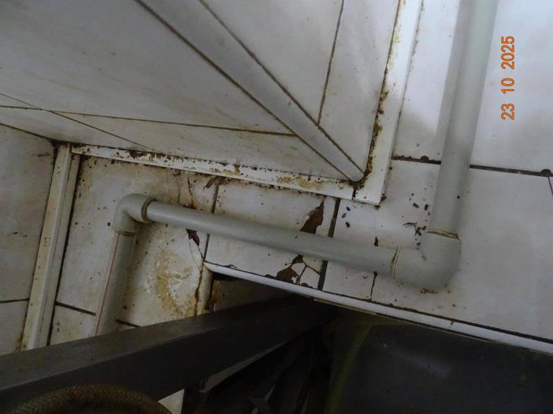 Ilustrační fotografie č. 8