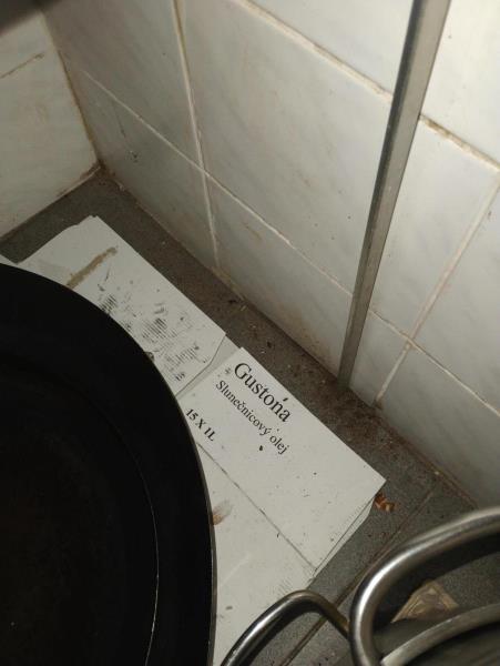 Ilustrační fotografie č. 10