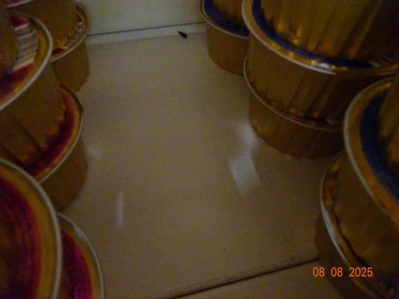 Ilustrační fotografie č. 14