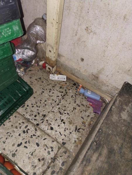 Ilustrační fotografie č. 4