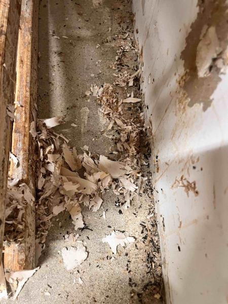 Ilustrační fotografie č. 13