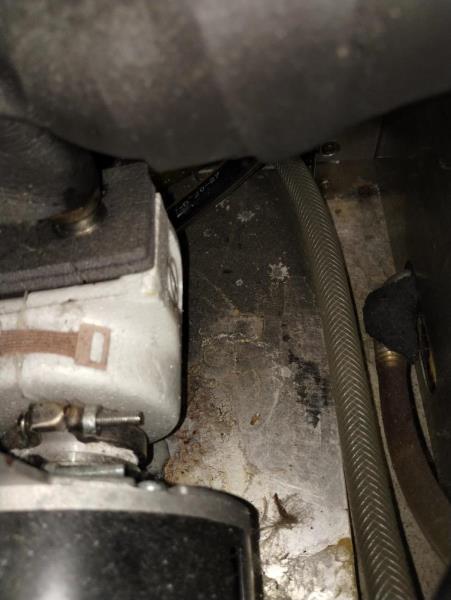 Ilustrační fotografie č. 11