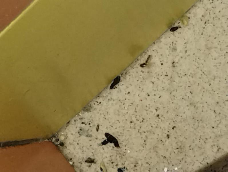 Ilustrační fotografie č. 9