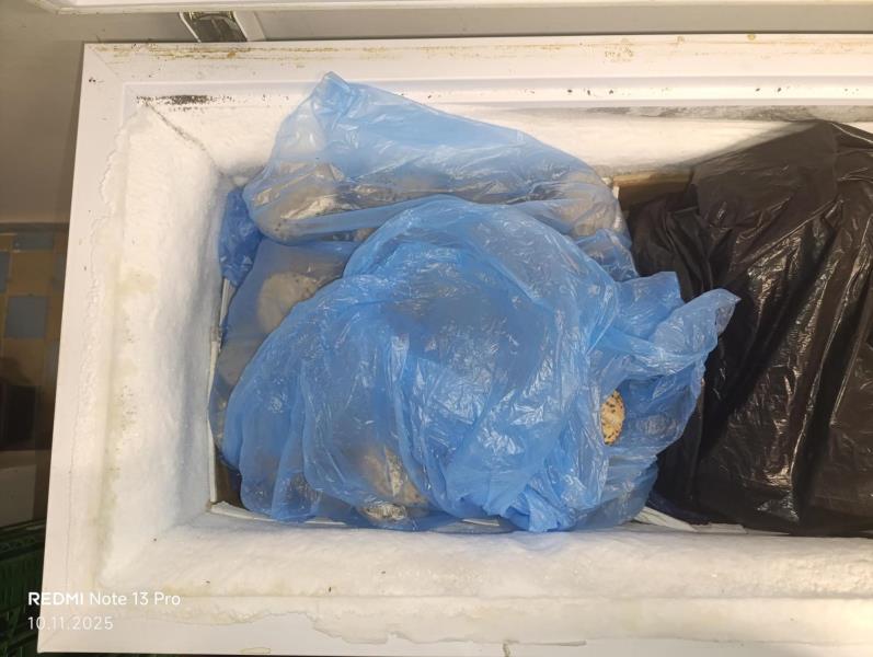 Illustrative photo no. 5