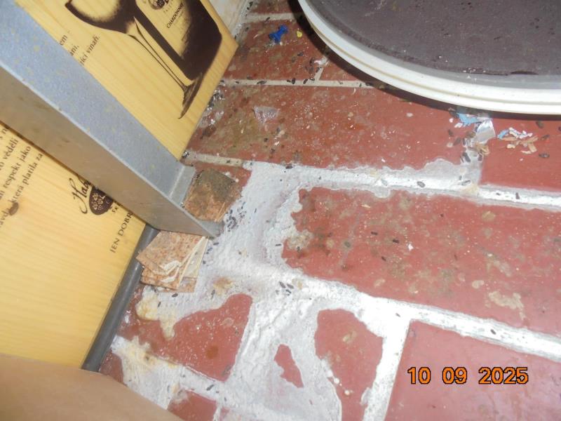 Ilustrační fotografie č. 5