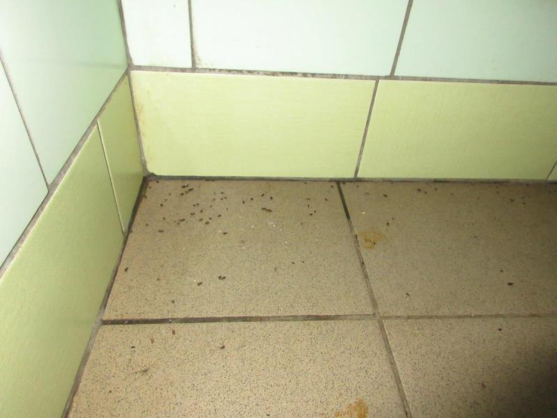 Ilustrační fotografie č. 10