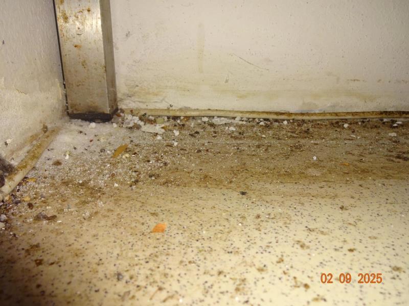 Illustrative photo no. 5