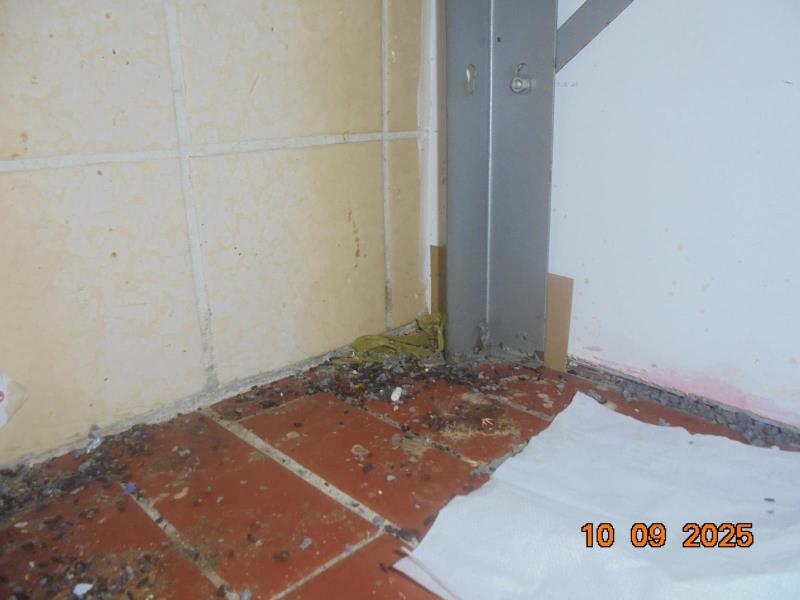 Ilustrační fotografie č. 3