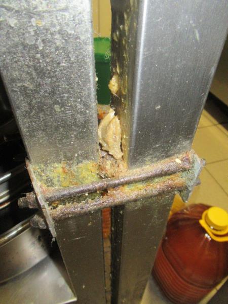 Ilustrační fotografie č. 8