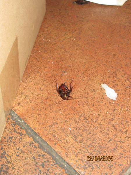 Ilustrační fotografie č. 15