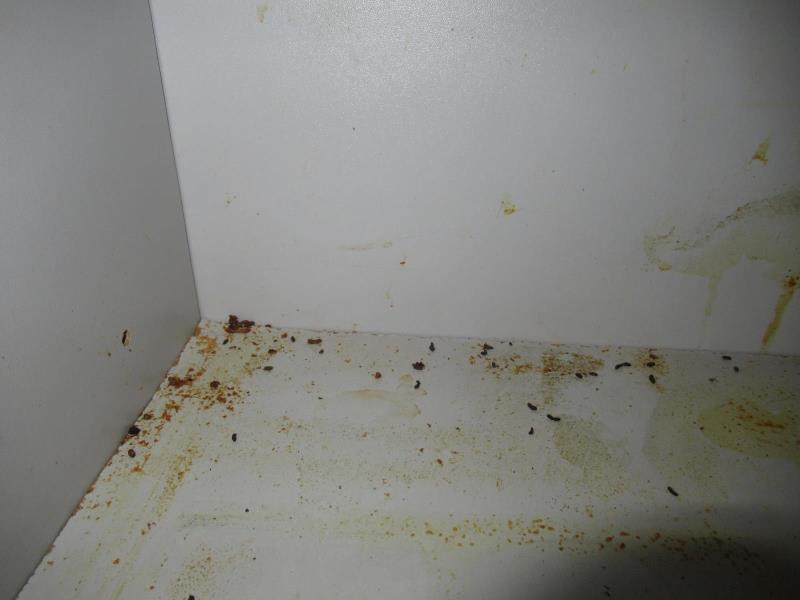 Ilustrační fotografie č. 10