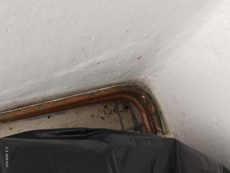 Ilustrační fotografie č. 8