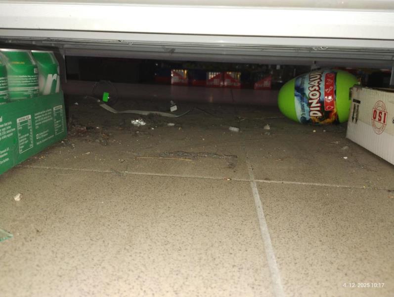 Ilustrační fotografie č. 5