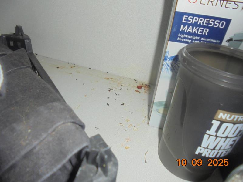 Ilustrační fotografie č. 10