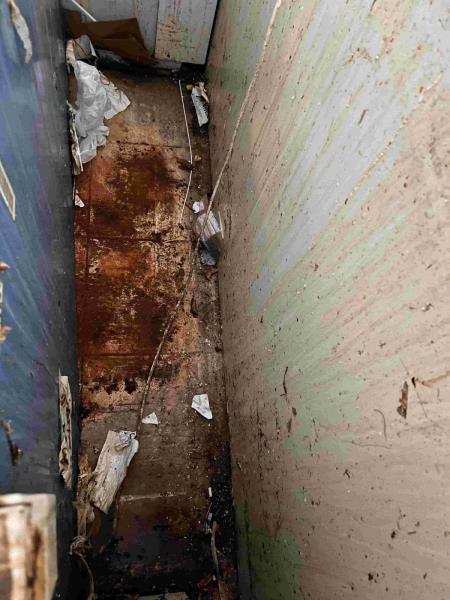 Ilustrační fotografie č. 5