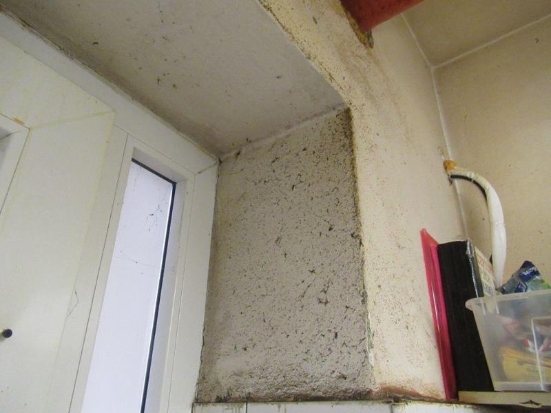 Ilustrační fotografie č. 2