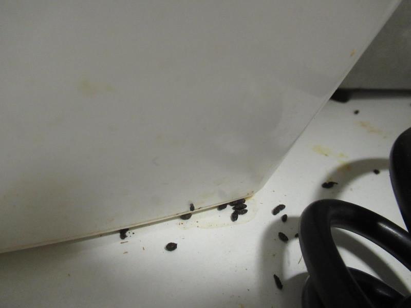 Ilustrační fotografie č. 6